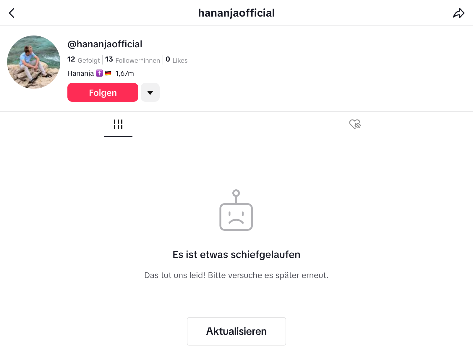 TikTok Kanal von Hananja